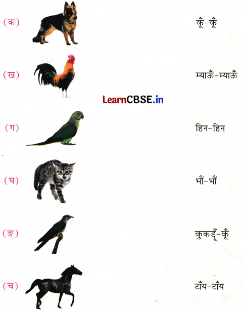 Sarangi Class 2 Hindi Worksheet Chapter 17 बरसात और मेंढक 3