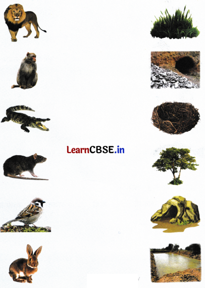 Sarangi Class 2 Hindi Worksheet Chapter 18 शेर और चूहे की दोस्ती 3