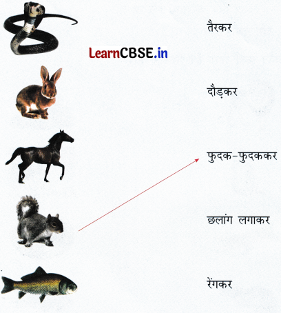 Sarangi Class 2 Hindi Worksheet Chapter 18 शेर और चूहे की दोस्ती 4