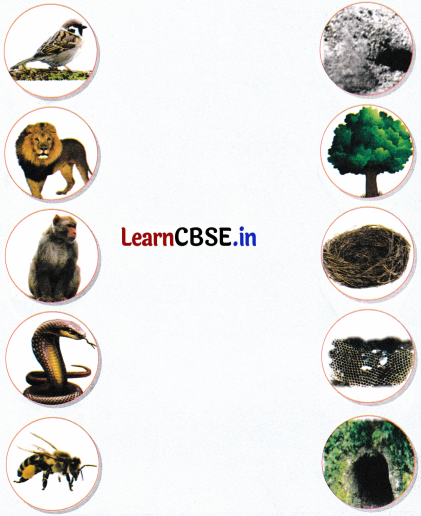 Sarangi Class 2 Hindi Worksheet Chapter 2 घर 4
