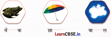 Sarangi Class 2 Hindi Worksheet Chapter 25 सबसे बड़ा छाता 3
