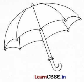 Sarangi Class 2 Hindi Worksheet Chapter 25 सबसे बड़ा छाता 5
