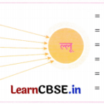 Sarangi Class 2 Hindi Worksheet Chapter 7 टिल्लू जी 1