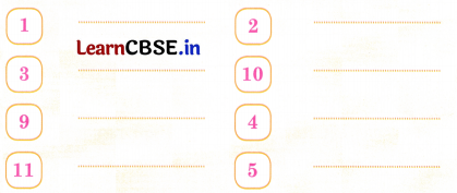 Sarangi Class 2 Hindi Worksheet Chapter 7 टिल्लू जी 5