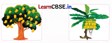 Sarangi Class 2 Hindi Worksheet Chapter 8 तीन दोस्त 8