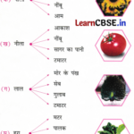 Sarangi Class 2 Hindi Worksheet Chapter 9 दुनिया रंग-बिरंगी 1