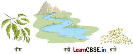 Sarangi Hindi Book Class 1 Solutions Chapter 1 मीना का परिवार 6