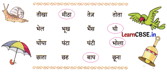 Sarangi Hindi Book Class 1 Solutions Chapter 15 होली 7