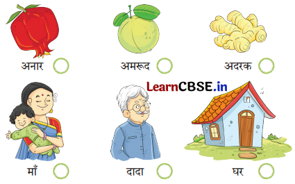 Sarangi Hindi Book Class 1 Solutions Chapter 2 दादा-दादी 3