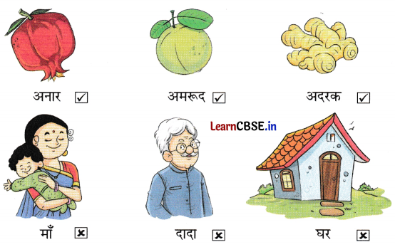 Sarangi Hindi Book Class 1 Solutions Chapter 2 दादा-दादी 5
