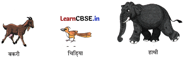 Sarangi Hindi Book Class 1 Solutions Chapter 6 तीन साथी 12