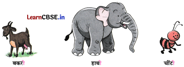 Sarangi Hindi Book Class 1 Solutions Chapter 6 तीन साथी 13
