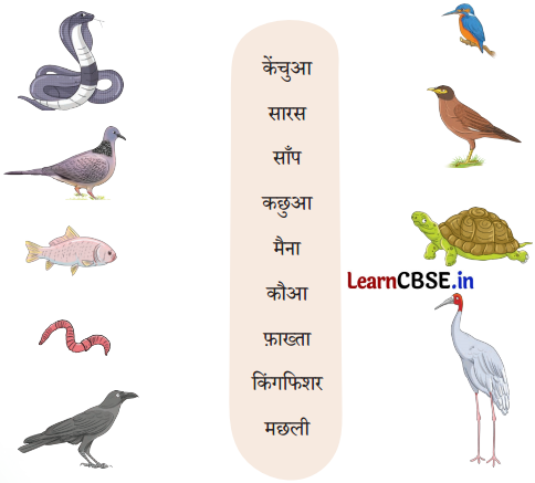 Sarangi Hindi Book Class 2 Solutions Chapter 13 तालाब 3
