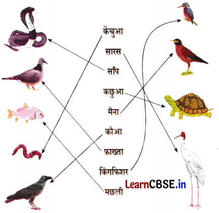 Sarangi Hindi Book Class 2 Solutions Chapter 13 तालाब 7
