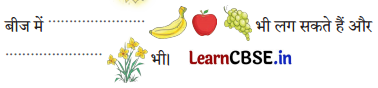Sarangi Hindi Book Class 2 Solutions Chapter 14 बीज 2