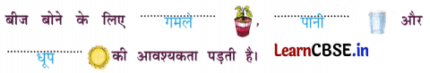 Sarangi Hindi Book Class 2 Solutions Chapter 14 बीज 4