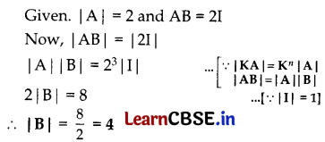 CBSE Class 12 Maths Question Paper 2019 (Series BVM 1) with Solutions 3