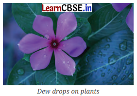 A Journey through States of Water Class 6 Notes Science Chapter 8 ...