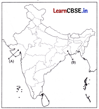 CBSE Sample Papers for Class 10 Social Science Set 1 with Solutions 3