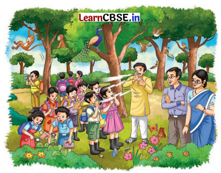 Diversity in the Living World Class 6 Notes Science Chapter 2 - Learn CBSE