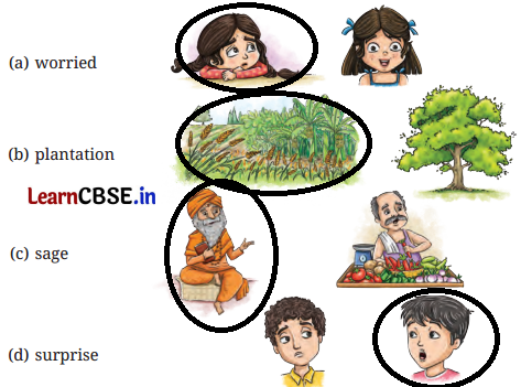 NCERT Class 6 English Poorvi Chapter 1 Question Answer A Bottle of Dew