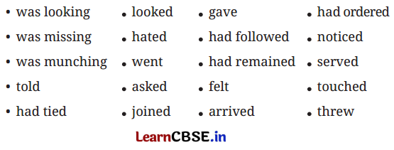 NCERT Class 6 English Poorvi Chapter 4 Question Answer The Unlikely Best Friends Page 46 Q3.1