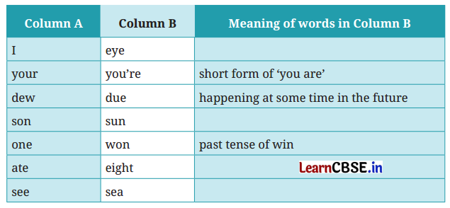 NCERT Solutions for Class 6 English Poorvi Chapter 1 A Bottle of Dew Page 8 Q2