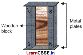 Exploring Magnets Class 6 Extra Questions and Answers Science Chapter 4 - 3