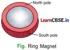 Exploring Magnets Class 6 Extra Questions and Answers Science Chapter 4 - 4