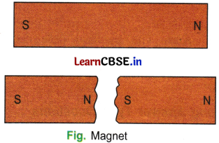 Exploring Magnets Class 6 Extra Questions and Answers Science Chapter 4 - 5