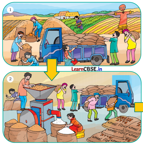 NCERT Class 3 English Santoor Chapter 7 Question Answer The Big Laddoo Page 69 Q1