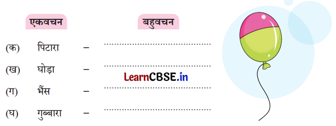 NCERT Class 3 Hindi Veena Chapter 11 Question Answer एक जादुई पिटारा 4