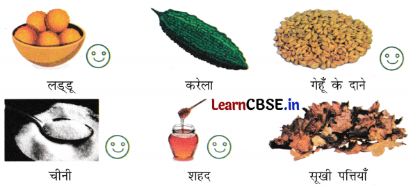 NCERT Class 3 Hindi Veena Chapter 2 Question Answer चींटी 4
