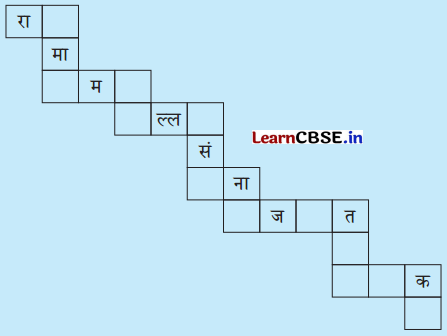 kv class 6 hindi chapter 13 question answer