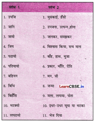NCERT Class 6 Hindi Malhar Chapter 9 Question Answer मैया मैं नहिं माखन खायो 10