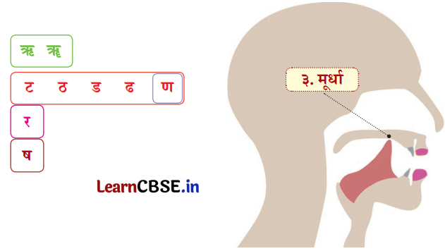 NCERT Class 6 Sanskrit Deepakam Chapter 1 Question Answer वयं वर्णमालां पठामः 2.3