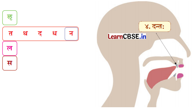 NCERT Class 6 Sanskrit Deepakam Chapter 1 Question Answer वयं वर्णमालां पठामः 3.1