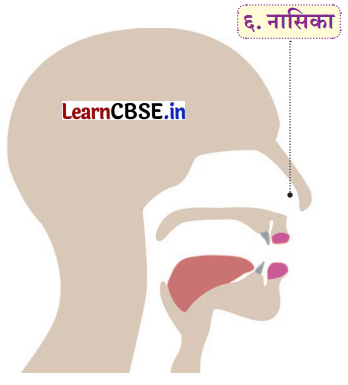 NCERT Class 6 Sanskrit Deepakam Chapter 1 Question Answer वयं वर्णमालां पठामः 3.3