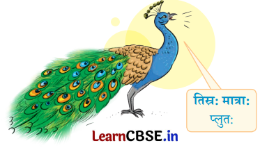 NCERT Class 6 Sanskrit Deepakam Chapter 1 Question Answer वयं वर्णमालां पठामः 4.4