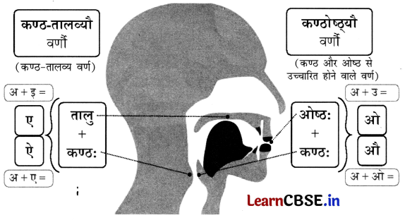 NCERT Class 6 Sanskrit Deepakam Chapter 1 Question Answer वयं वर्णमालां पठामः 5.6
