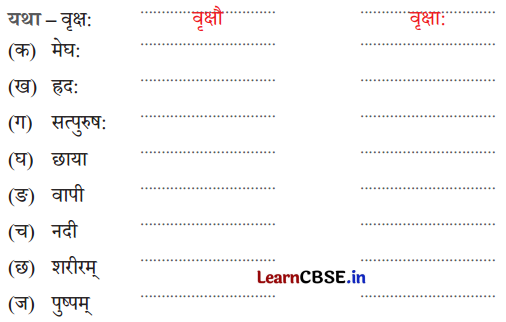 NCERT Class 6 Sanskrit Deepakam Chapter 15 Question Answer वृक्षाः सत्पुरुषाः इव 1.3