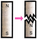 NCERT Class 6 Science Chapter 4 Question Answer Exploring Magnets 2