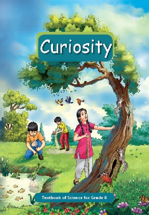 NCERT Solutions Class 6 Science Curiosity