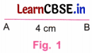 Playing with Constructions Class 6 NCERT Solutions Ganita Prakash Maths Chapter 8 4