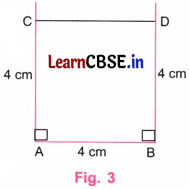 Playing with Constructions Class 6 NCERT Solutions Ganita Prakash Maths Chapter 8 6