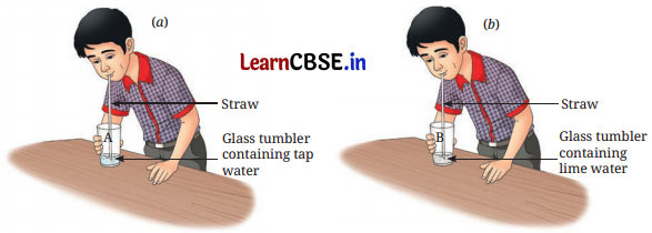 Changes Around Us Physical and Chemical Class 7 Notes Science Chapter 5 2
