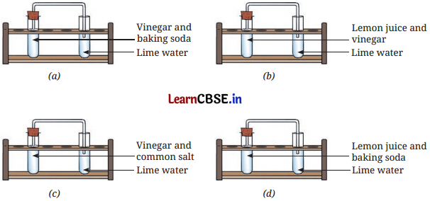 Changes Around Us Physical and Chemical Class 7 Questions and Answers Science Chapter 5-4