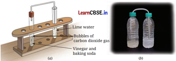Changes Around Us Physical and Chemical Class 7 Questions and Answers Science Chapter 5-6
