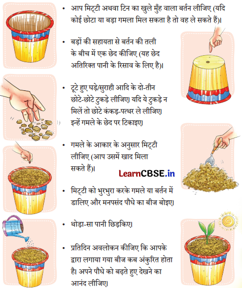 Class 4 Hindi Chapter 3 Question Answer नीम 12