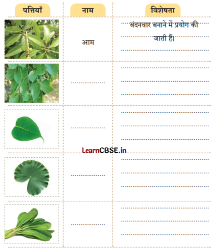 Class 4 Hindi Chapter 3 Question Answer नीम 9